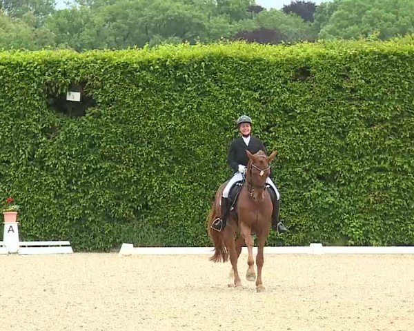 Reitturnier Notzing/Obb. 2025