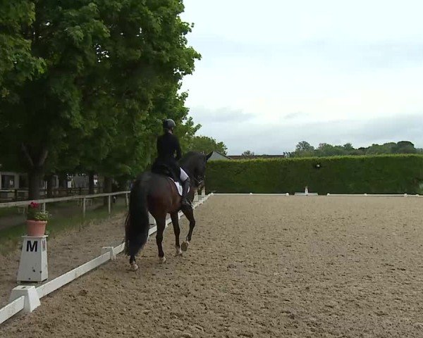 Reitturnier Notzing/Obb. 2025