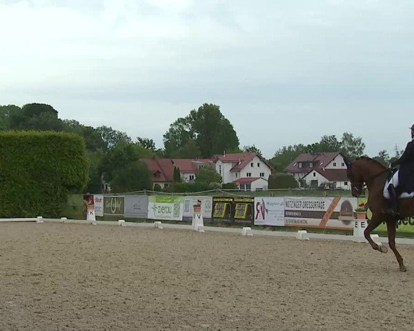 Reitturnier Notzing/Obb. 2025