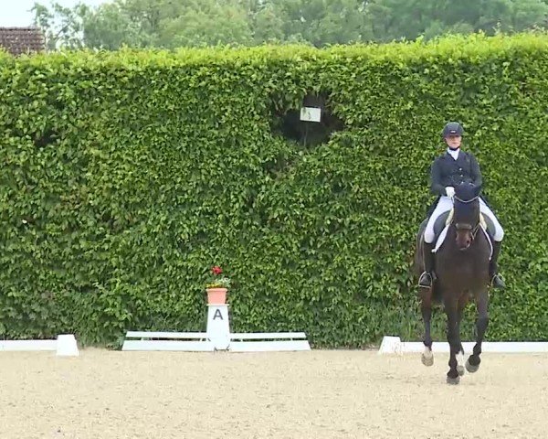 Reitturnier Notzing/Obb. 2025