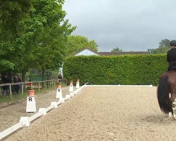Reitturnier Notzing/Obb. 2025