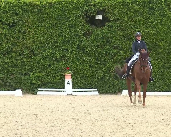 Reitturnier Notzing/Obb. 2025