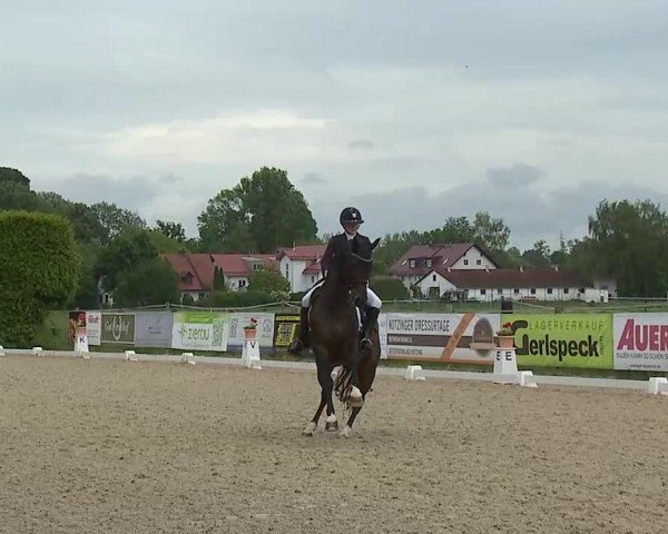 Reitturnier Notzing/Obb. 2025