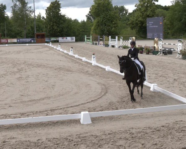 Reitturnier Erkrath - Uhlenhof 2025