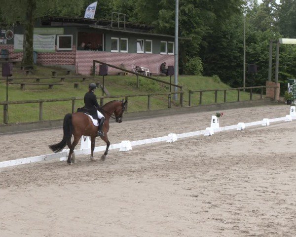 Reitturnier Erkrath - Uhlenhof 2025