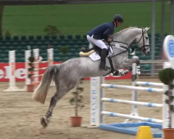 Balve-Wocklum Regio 2014