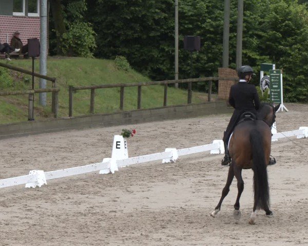 Reitturnier Erkrath - Uhlenhof 2025