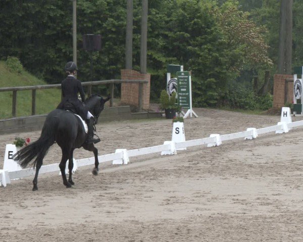 Reitturnier Erkrath - Uhlenhof 2025
