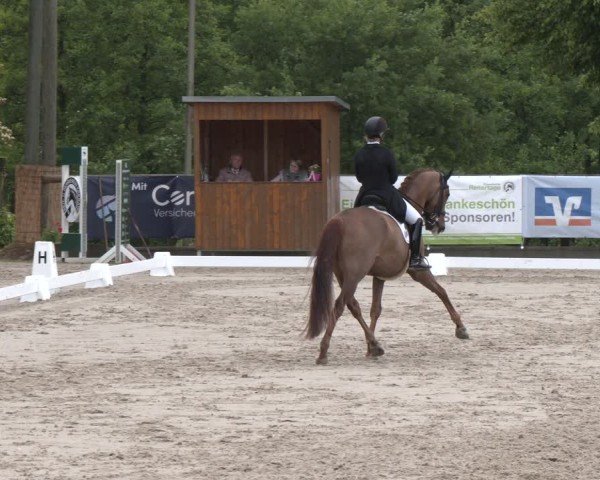 Reitturnier Erkrath - Uhlenhof 2025