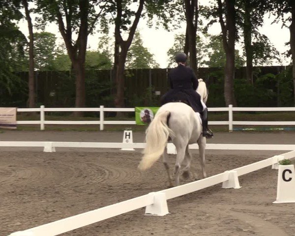 Reitturnier Dressurturnier Mildstedt 2025