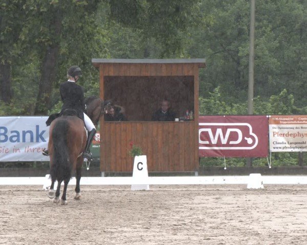Reitturnier Erkrath - Uhlenhof 2025