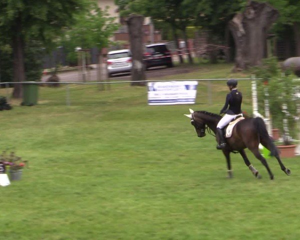 Reitturnier Königsborn 2025