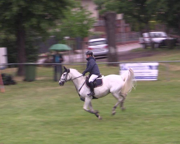 Reitturnier Königsborn 2025