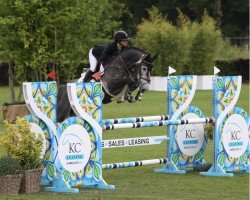 jumper Orlando Vz (KWPN (Royal Dutch Sporthorse), 2019, from Cicero Z van Paemel)