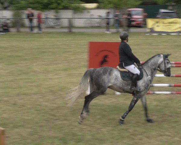 Reitturnier Buckow bei Beeskow (LOS) 2025