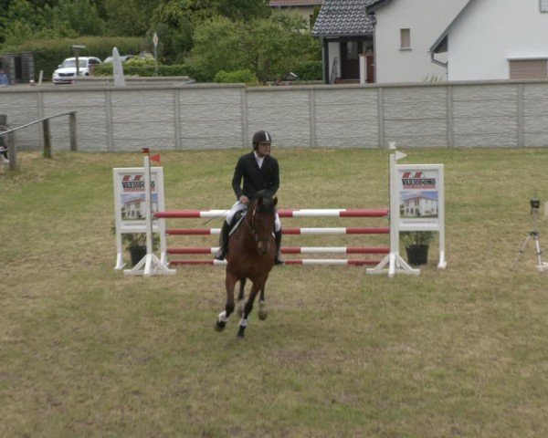 Reitturnier Buckow bei Beeskow (LOS) 2025