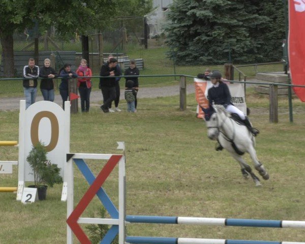 Reitturnier Buckow bei Beeskow (LOS) 2025
