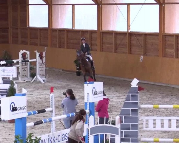 Hallenspringturnier Xanten - Reitanlage Miß 2014