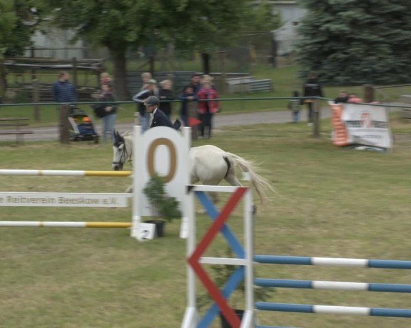 Reitturnier Buckow bei Beeskow (LOS) 2025