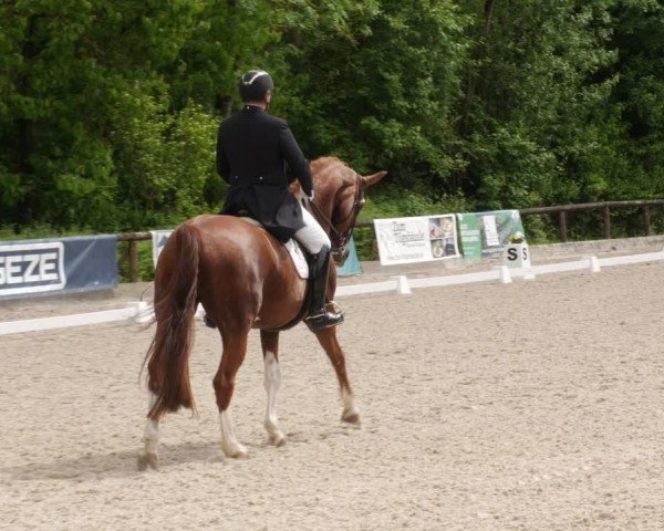 Reitturnier Leonberg 2025