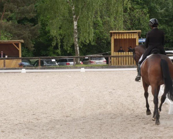 Reitturnier Leonberg 2025