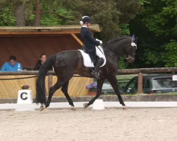 Reitturnier Leonberg 2025