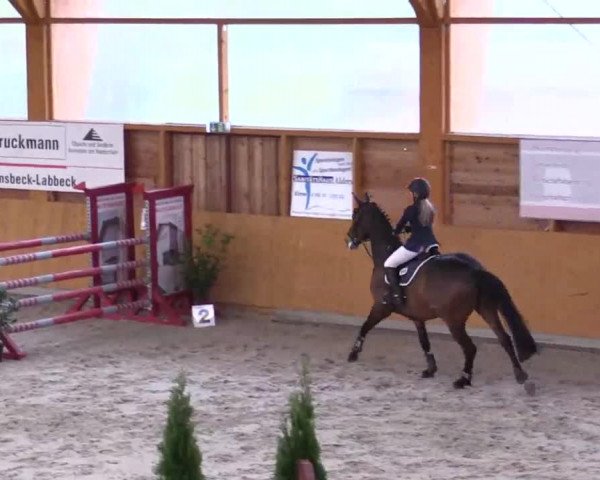 Hallenspringturnier Xanten - Reitanlage Miß 2014