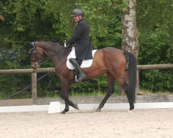 Reitturnier Leonberg 2025