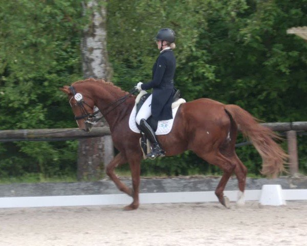 Reitturnier Leonberg 2025