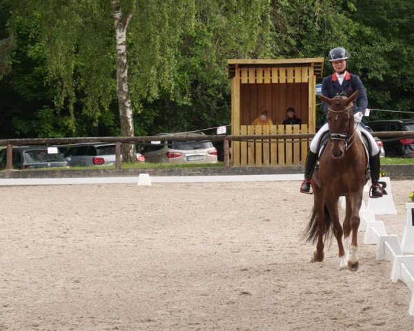 Reitturnier Leonberg 2025