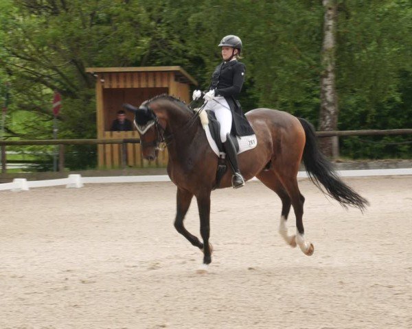 Reitturnier Leonberg 2025