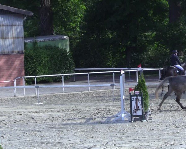 Reitturnier Ostenfelde-Vornholz 2025