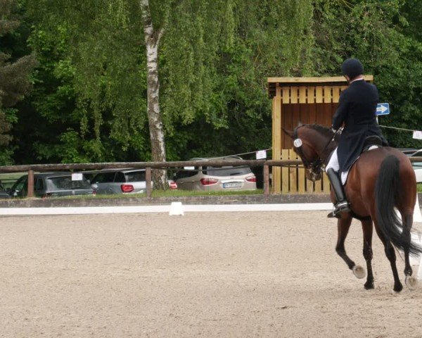 Reitturnier Leonberg 2025