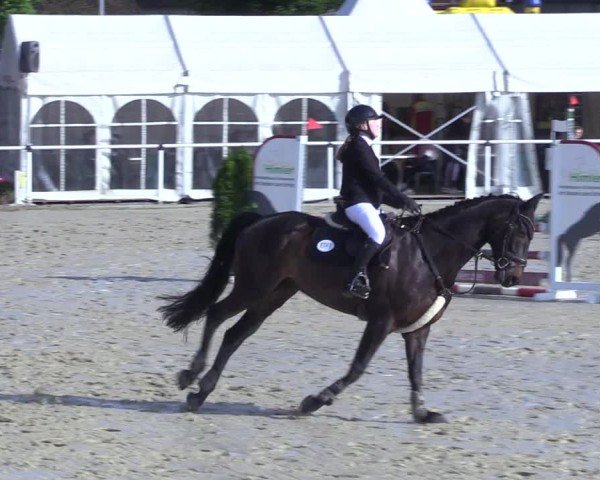 Reitturnier Ostenfelde-Vornholz 2025
