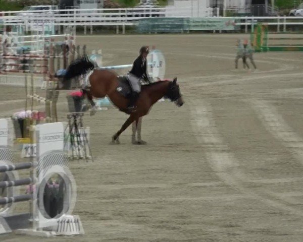 Reitturnier St. Margarethen 2025
