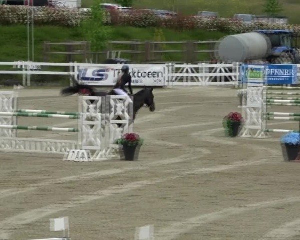 Reitturnier St. Margarethen 2025