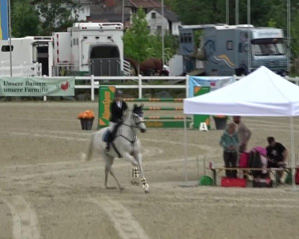 Reitturnier St. Margarethen 2025