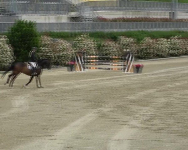 Reitturnier St. Margarethen 2025