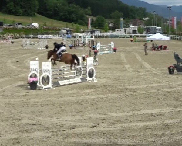 Reitturnier St. Margarethen 2025