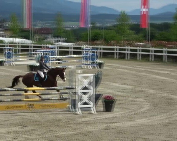 Reitturnier St. Margarethen 2025