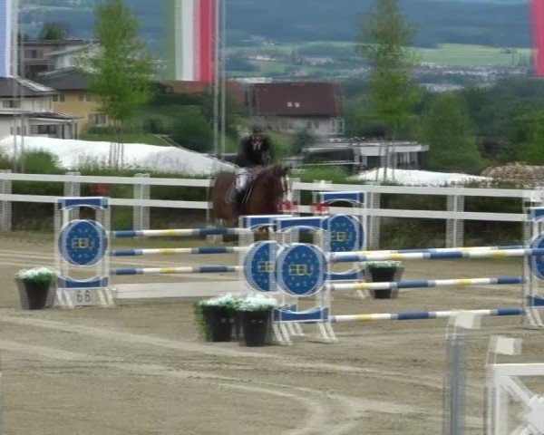Reitturnier St. Margarethen 2025