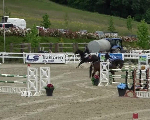 Reitturnier St. Margarethen 2025