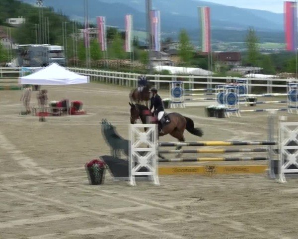 Reitturnier St. Margarethen 2025