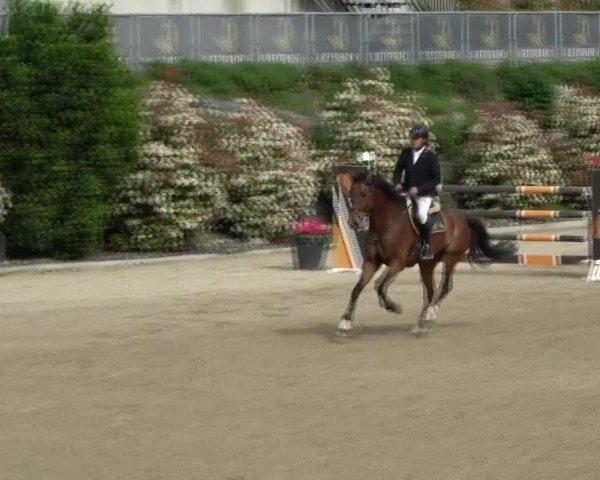 Reitturnier St. Margarethen 2025