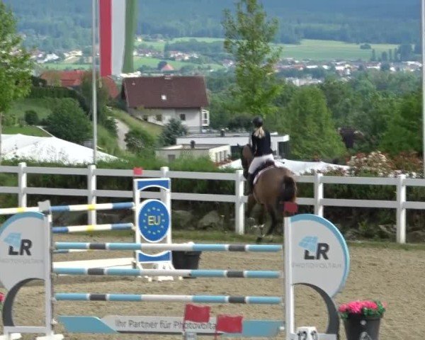 Reitturnier St. Margarethen 2025
