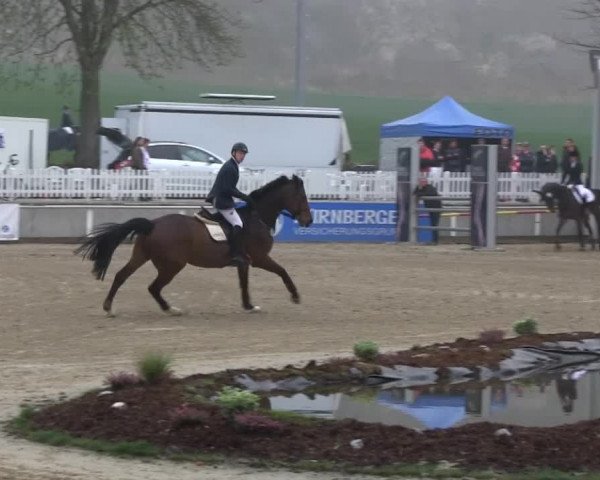 Balve-Wocklum Regio 2014