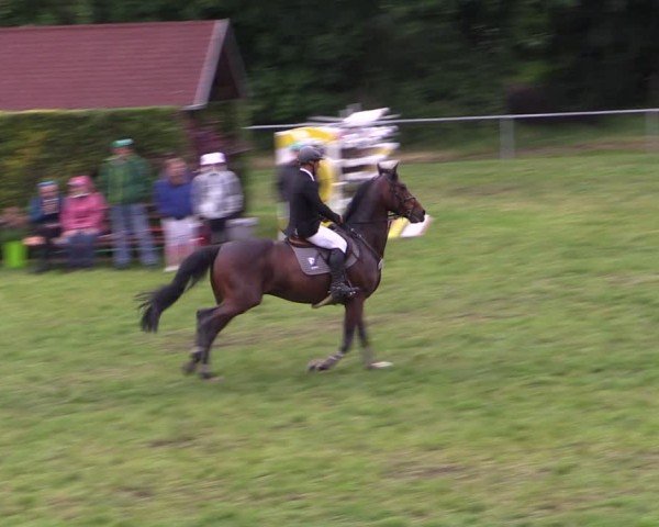 Reitturnier Königsborn 2025