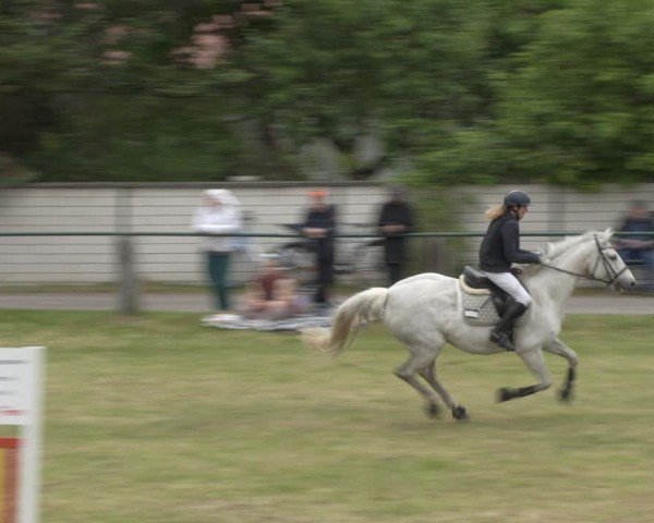 Reitturnier Buckow bei Beeskow (LOS) 2025