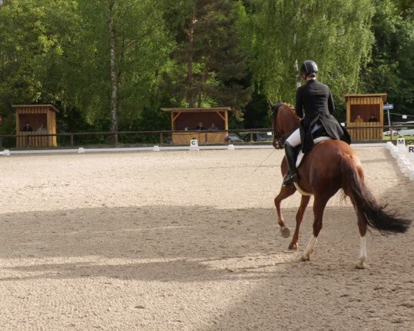 Reitturnier Leonberg 2025