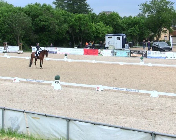 Reitturnier Mallersdorf-Pfaffenberg/Ndb. 2025
